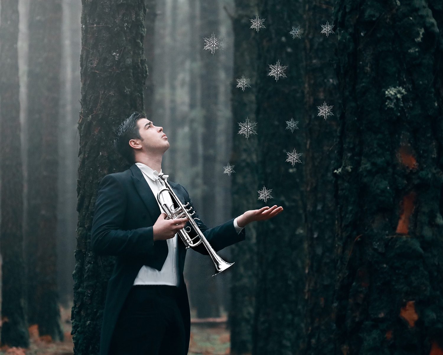 Cartel del evento «Concierto de Año Nuevo»